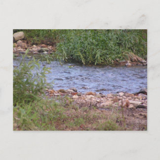 Bubbling Creek Postcard