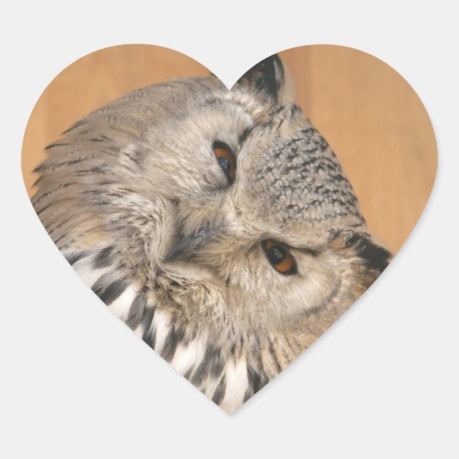 Bubo bubo sibiricus heart sticker (Front)