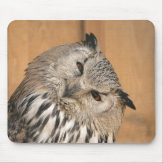 Bubo bubo sibiricus mouse pad