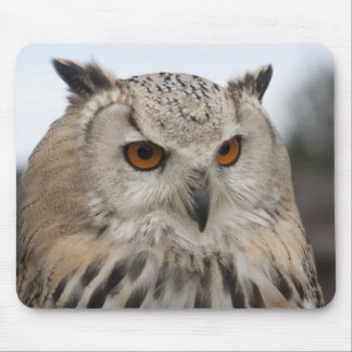 Bubo bubo sibiricus mouse pad