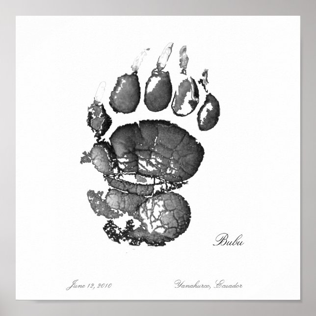 Bubu Pawprint Poster (Front)
