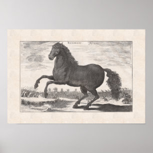 Bucephalus, Alexander the Great's Favorite Horse Poster