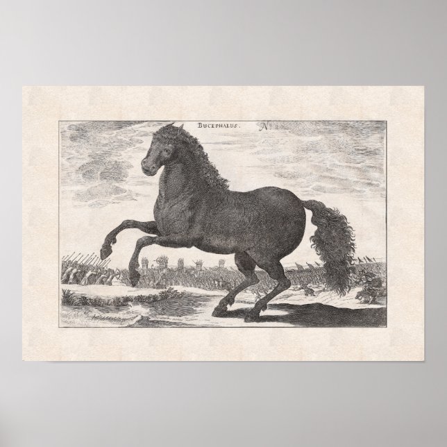 Bucephalus, Alexander the Great's Favorite Horse Poster (Front)