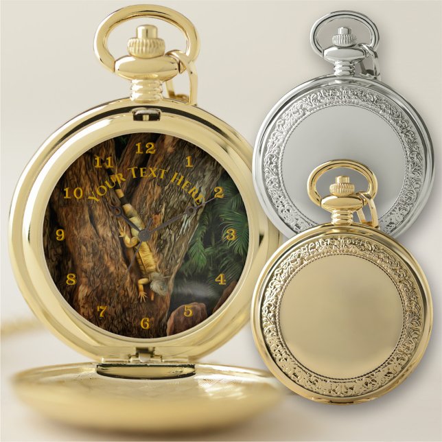 Bucerias Iguana 1069 Pocket Watch (Creator Uploaded)