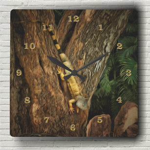 Bucerias Iguana 1069 Square Wall Clock