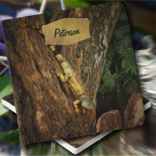 Bucerias Iguana 1069 Trivet