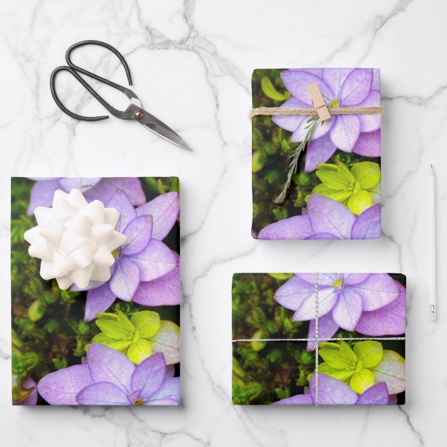 Buch of Many Petaled Purple Flowers Wrapping Paper Sheets (Front)