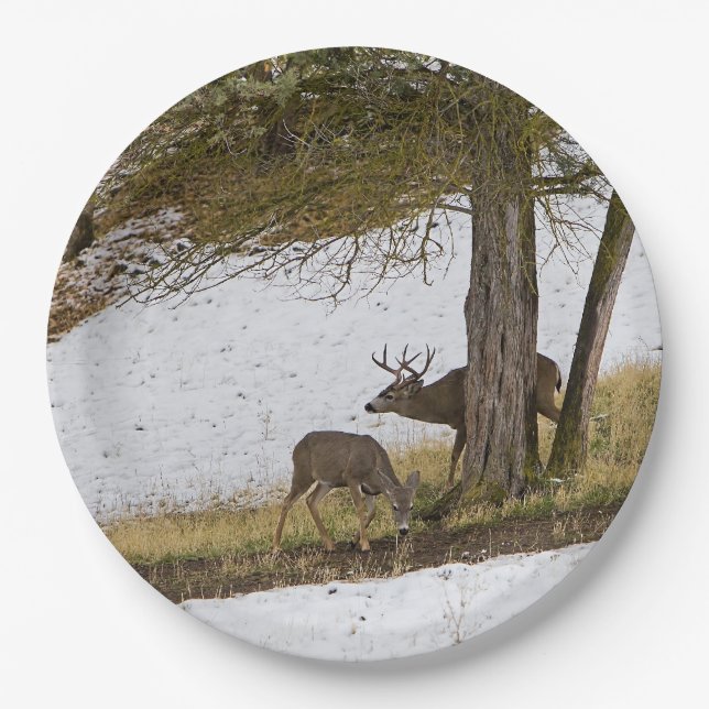 BUCK AND DOE PAPER PLATES (Front)