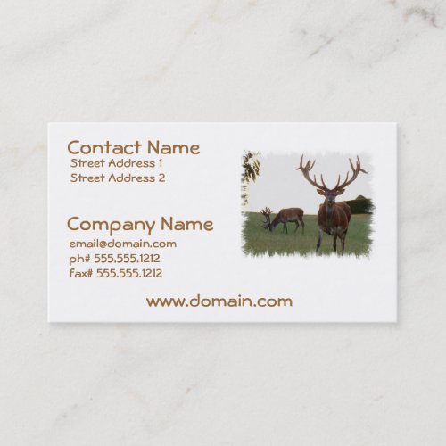 Buck Business Cards