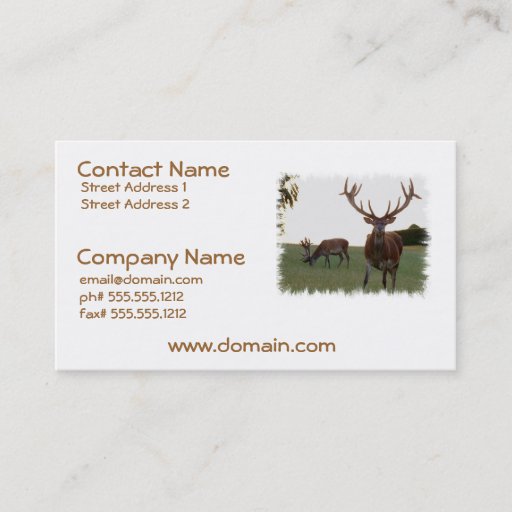 Customizable Buck Business Cards