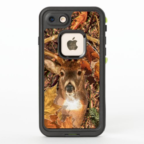 Buck Camouflage White Tail Deer on a