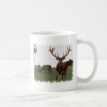 Buck  Coffee Mug