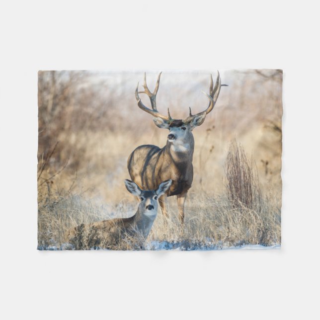 Buck Couple | Mule Deer Fleece Blanket (Front (Horizontal))