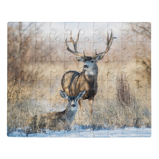 Buck Couple | Mule Deer Jigsaw Puzzle (Puzzle Horizontal)