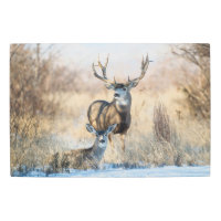 Buck Couple | Mule Deer
