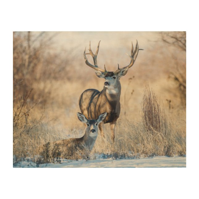 Buck Couple | Mule Deer Wood Wall Art (Front)