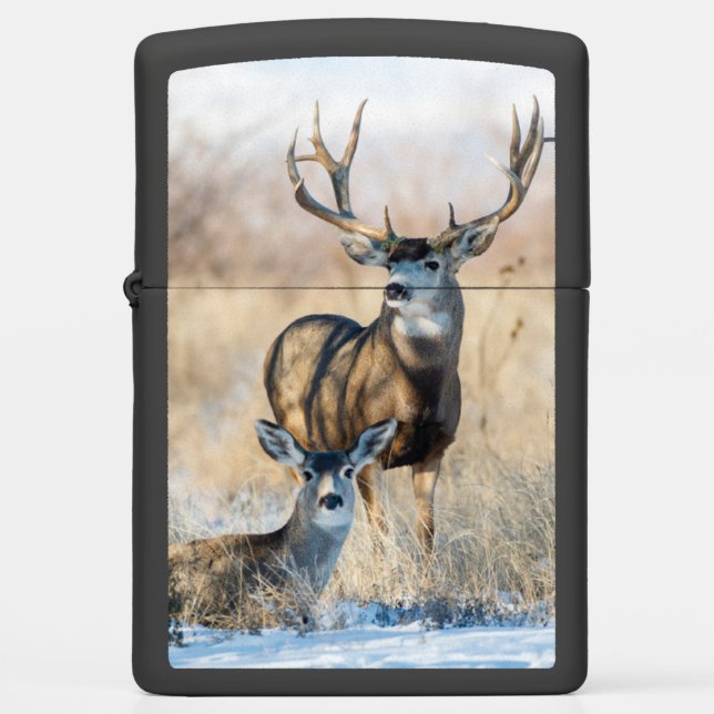 Buck Couple | Mule Deer Zippo Lighter (Front)