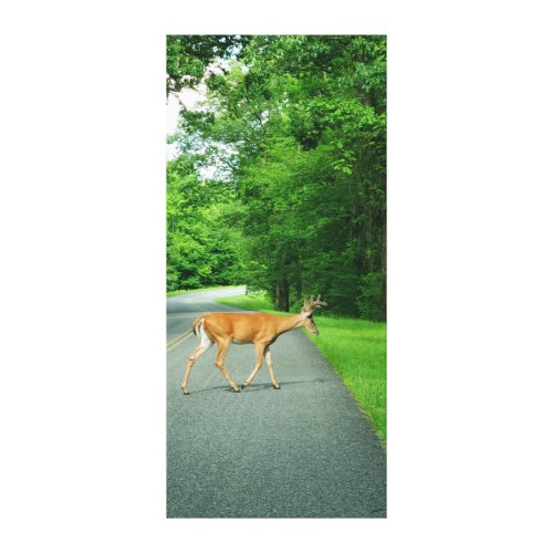 Buck Crossing the Road Canvas Print