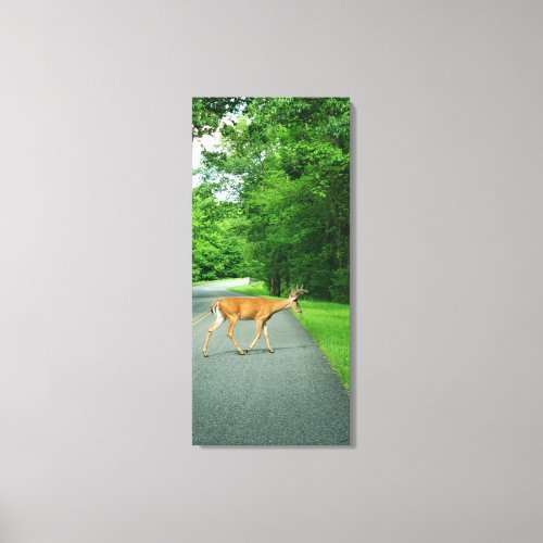 Buck Crossing the Road Canvas Print