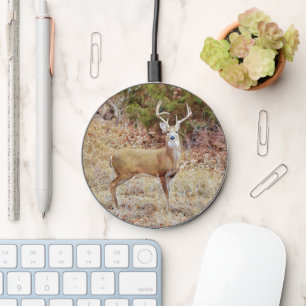 Buck Deer Art Charger