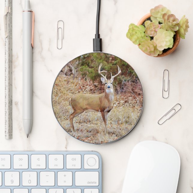 Buck Deer Art Charger (Desk)