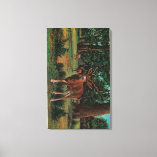 Buck Deer at Yosemite National Park Canvas Print