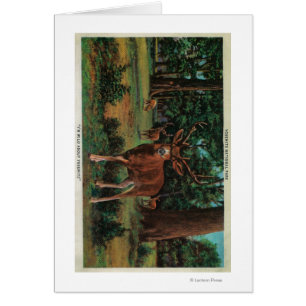 Buck Deer at Yosemite National Park Cards
