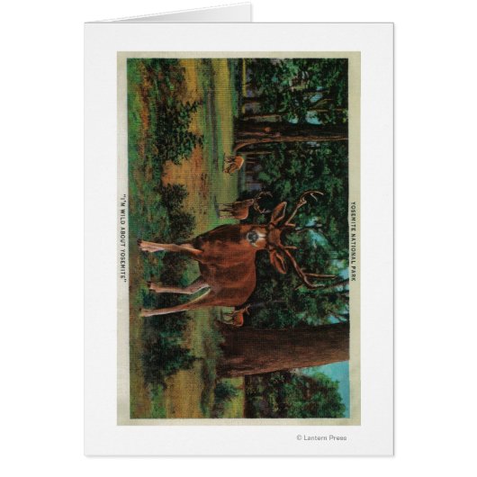 Buck Deer at Yosemite National Park Cards (Front)