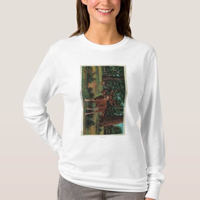 Buck Deer at Yosemite National Park T-Shirt (Front)