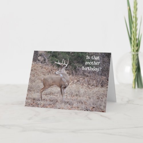 Buck Deer Hunter Deer Lover Fun Birthday Card