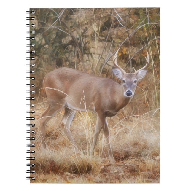 Buck Deer in a Fall Meadow Journal Notebook (Front)