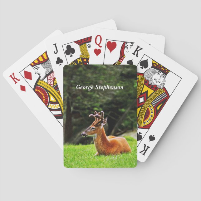 Buck Deer in wooded pasture Personalize Poker Cards (Back)