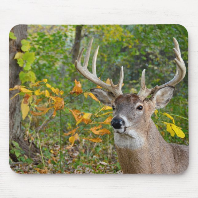 Buck Deer in Woods Mouse Pad (Front)