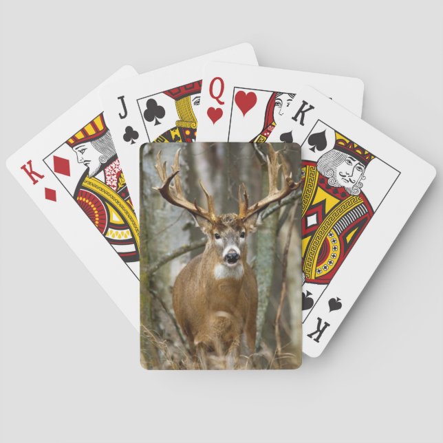 Buck Deer Playing Cards (Back)