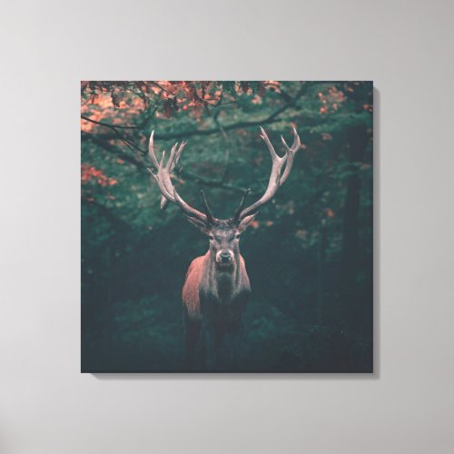 Buck Deer Wild Animal Canvas Print