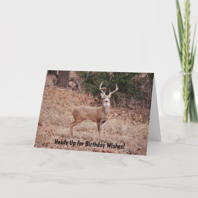 Buck Deer Wild Animal Lover or Hunter Birthday Holiday Card (Front)