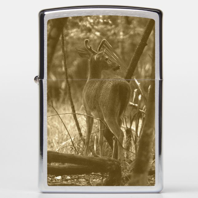 Buck Deer Zippo Lighter (Front)
