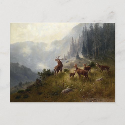 Buck  Doe Deer Herd In Forest Landscape Art Postcard