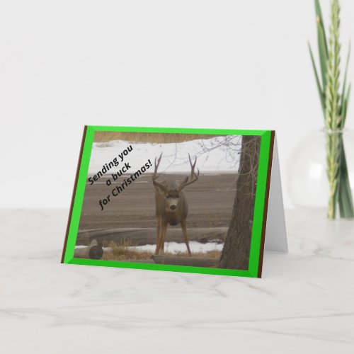 Buck For Christmas Greeting Card with envelope