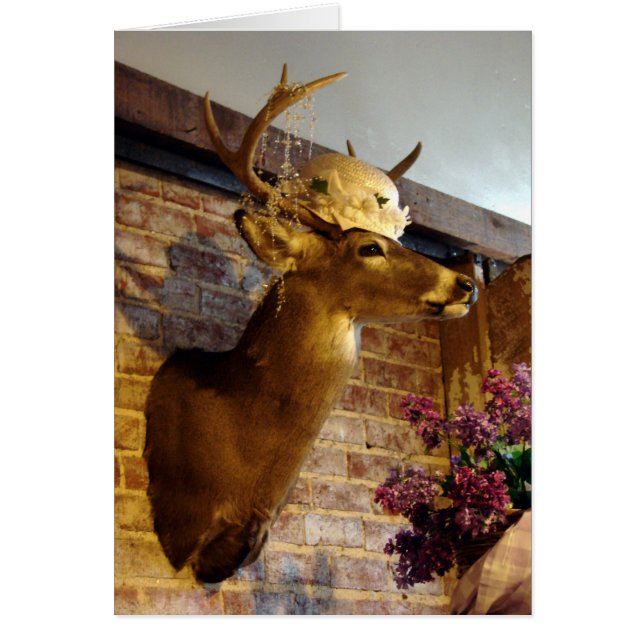 Buck in A Hat (Front)