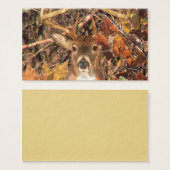 Buck in Camo White Tail Deer (Front & Back)