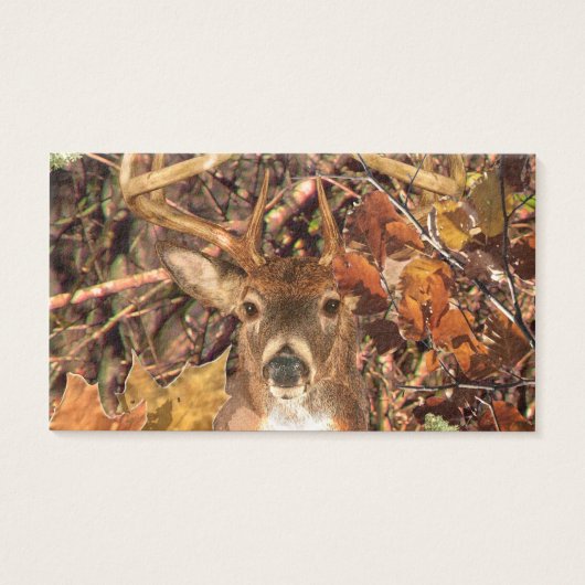 Buck in Camo White Tail Deer (Front)
