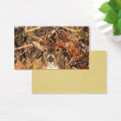 Buck in Camo White Tail Deer (Desk)
