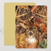 Buck in Camo White Tail Deer (Front/Back)