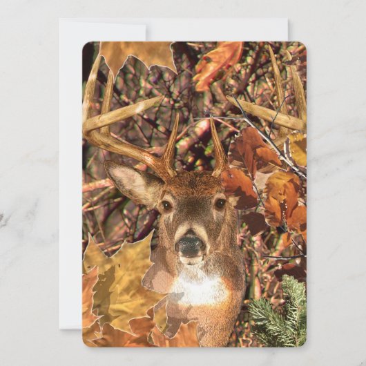 Buck in Camo White Tail Deer (Front)