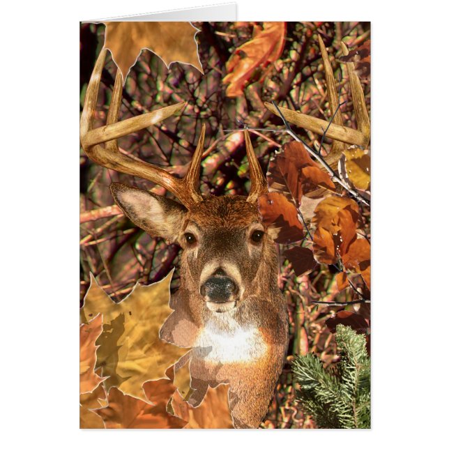 Buck in Camo White Tail Deer Cards (Front)