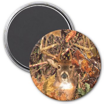 Buck In Camo White Tail Deer Magnet by TigerDen at Zazzle