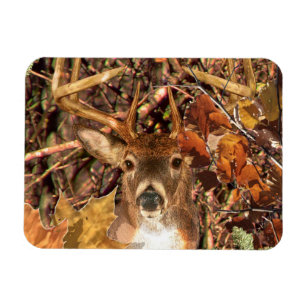 Buck in Camo White Tail Deer Magnet
