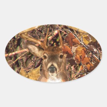 Buck In Camo White Tail Deer Oval Sticker by TigerDen at Zazzle