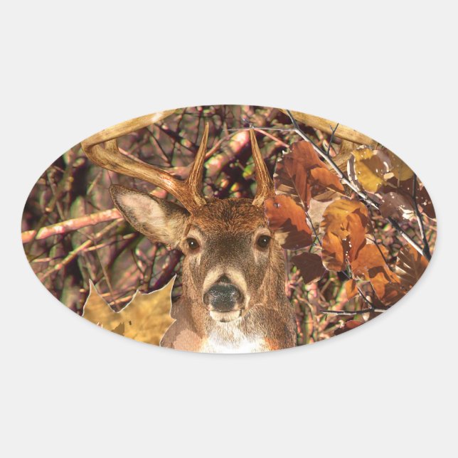 Buck in Camo White Tail Deer Oval Sticker (Front)